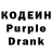Кодеиновый сироп Lean Purple Drank Terry Ross