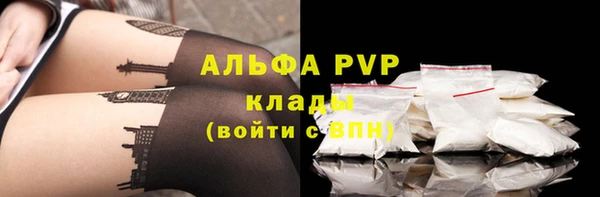 твердый Абаза