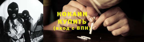 твердый Абаза
