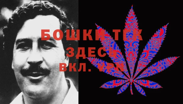 твердый Абаза