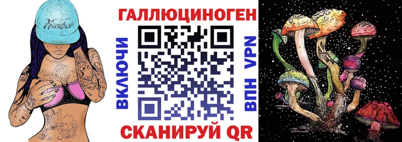 omg онион  Лакинск  Псилоцибиновые грибы GOLDEN TEACHER  цена  